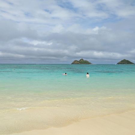 Island Colony 3512 Hotel Honolulu Eksteriør billede